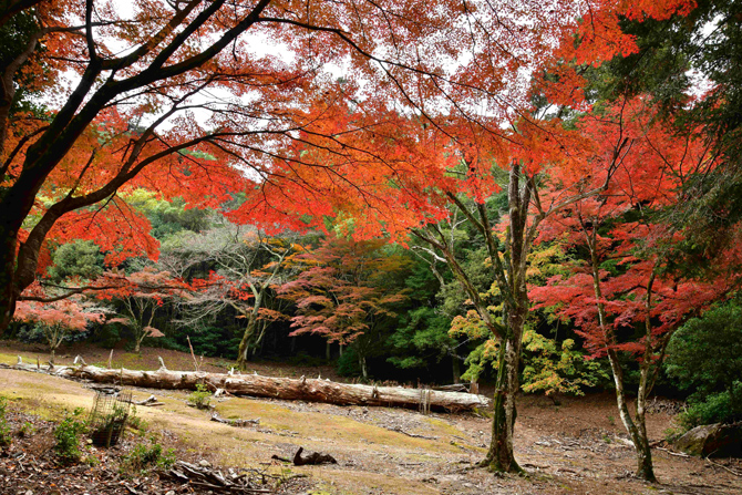 木比屋谷公園（撮影：新谷孝一）