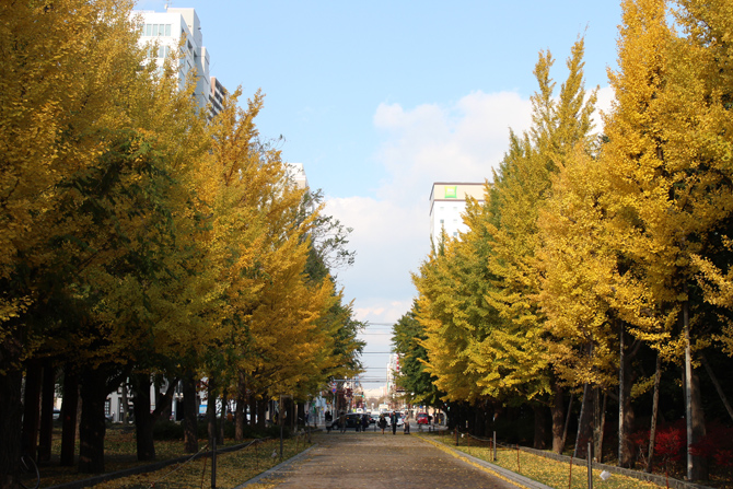 中島公園