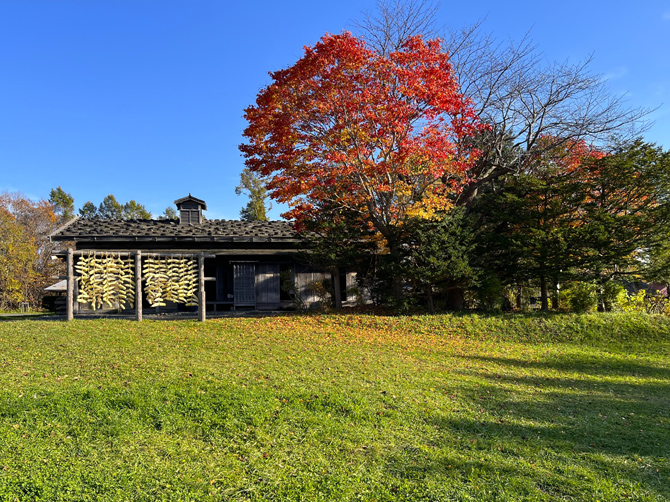 野外博物館北海道開拓の村
