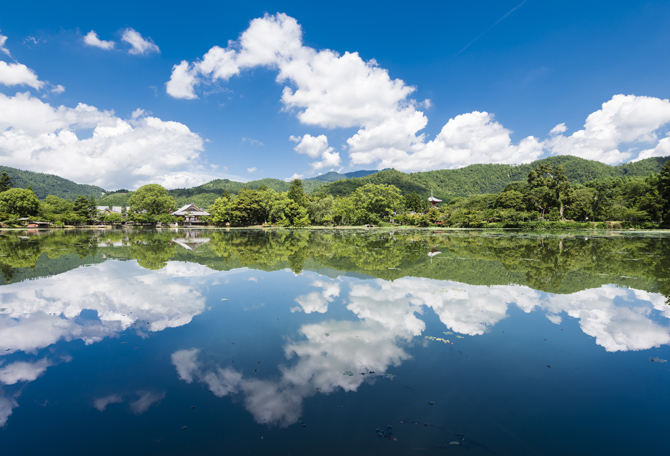大沢池
