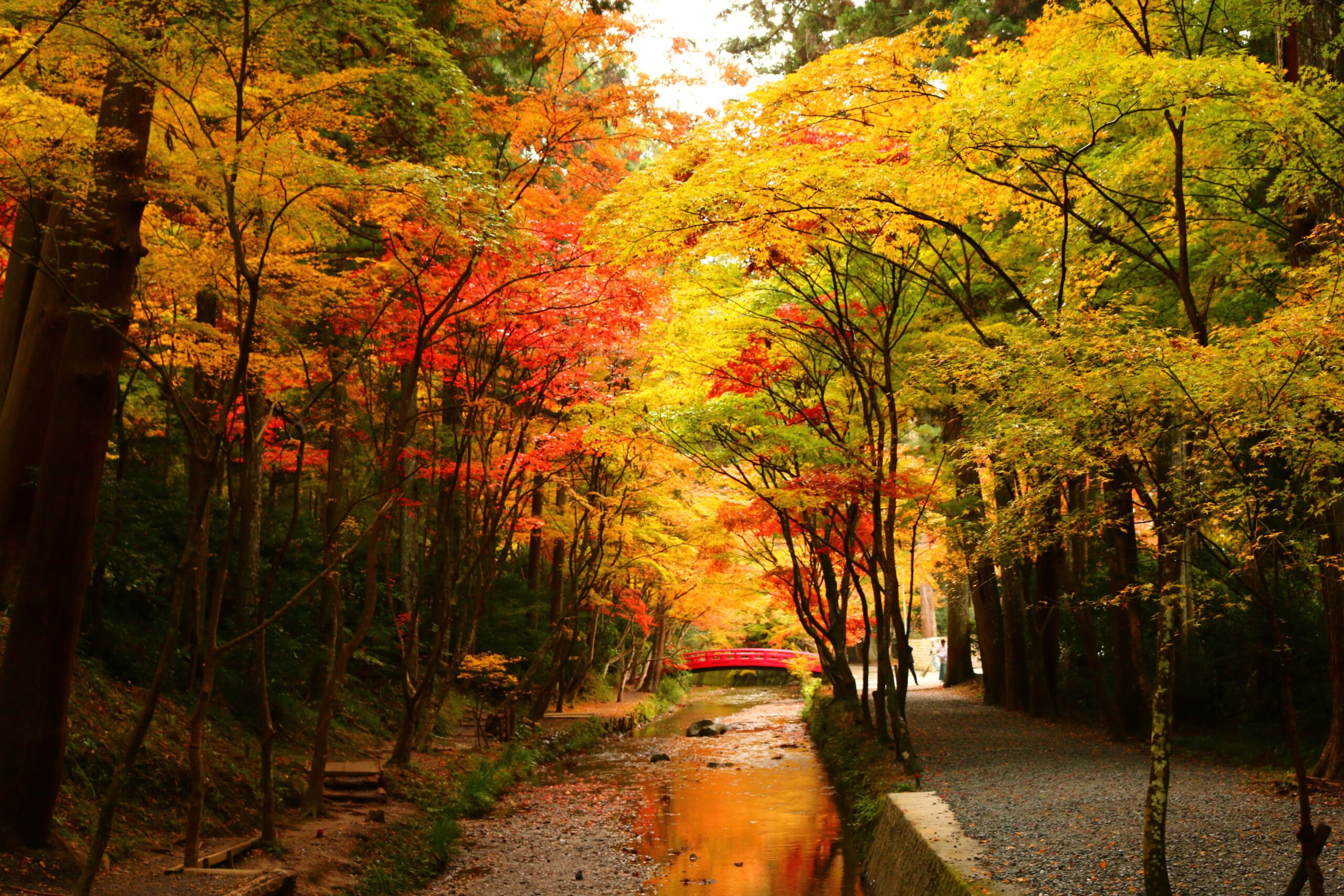 遠江国一宮 小國神社
