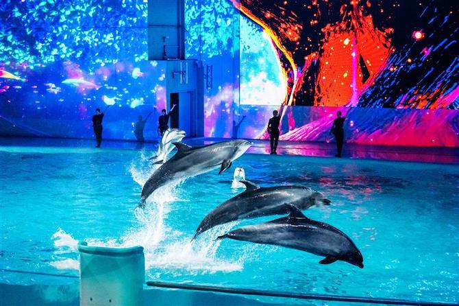 横浜・八景島シーパラダイス アクアミュージアム