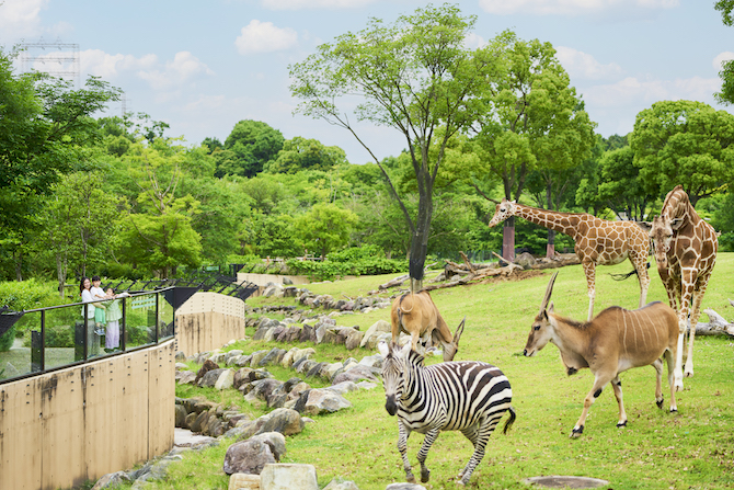 （画像提供：よこはま動物園ズーラシア）