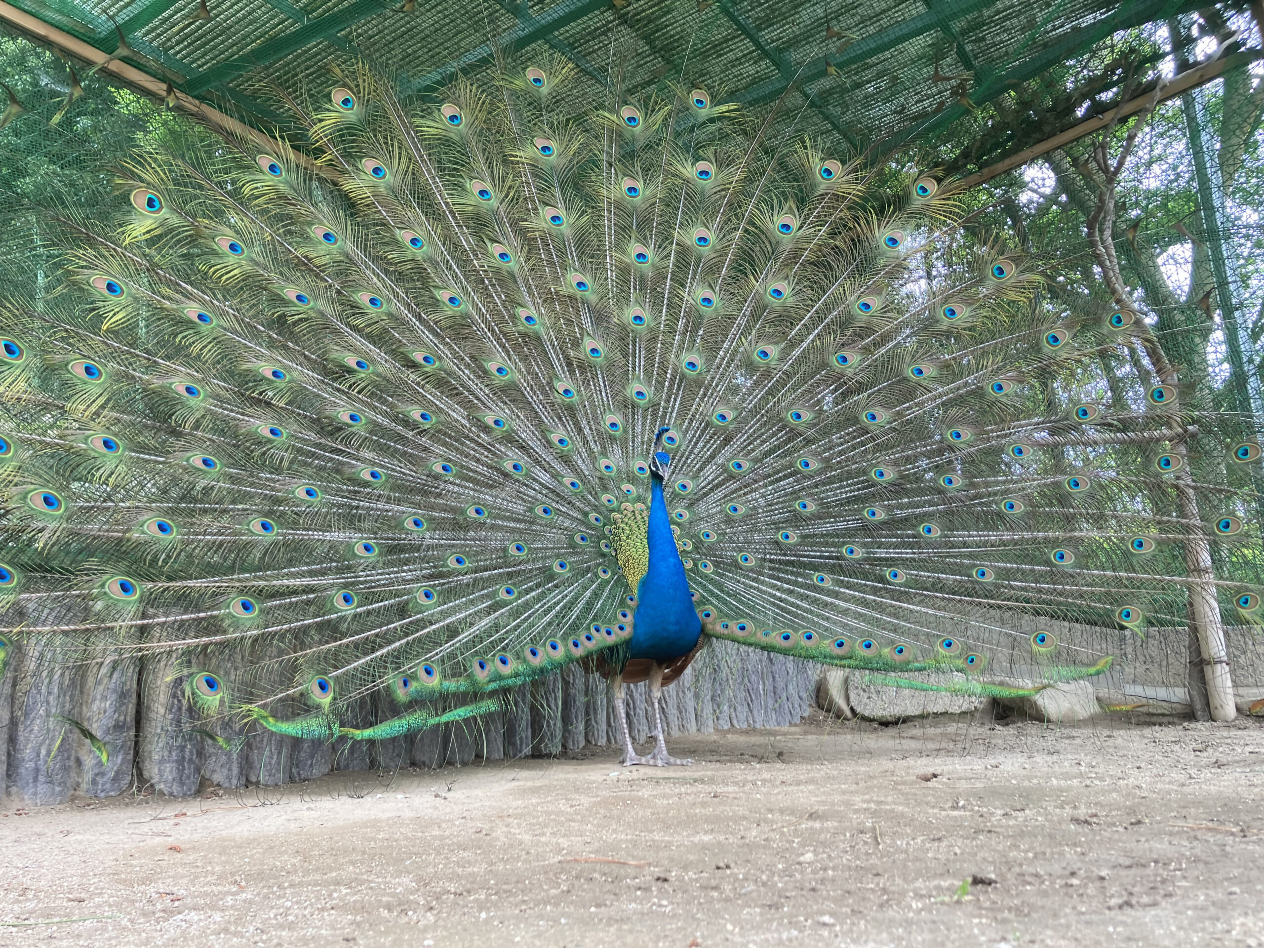 岡崎市東公園動物園