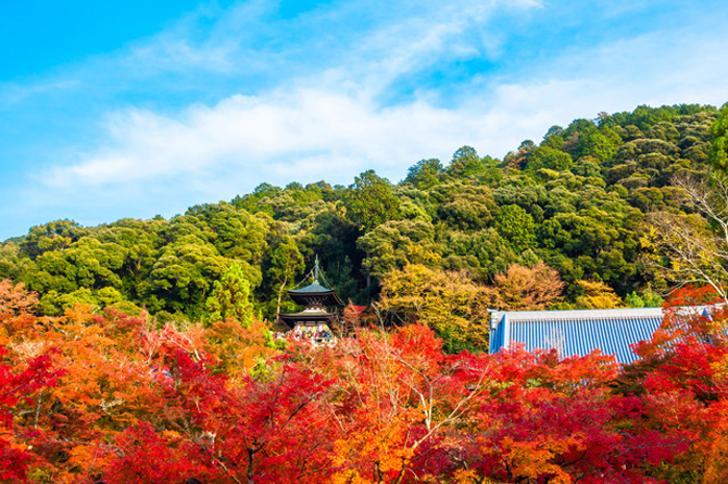 永観堂禅林寺