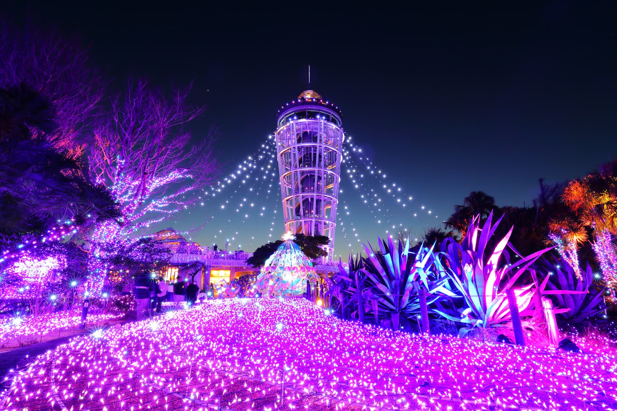 湘南の宝石2025-2026 ~江の島を彩る光と色の祭典~