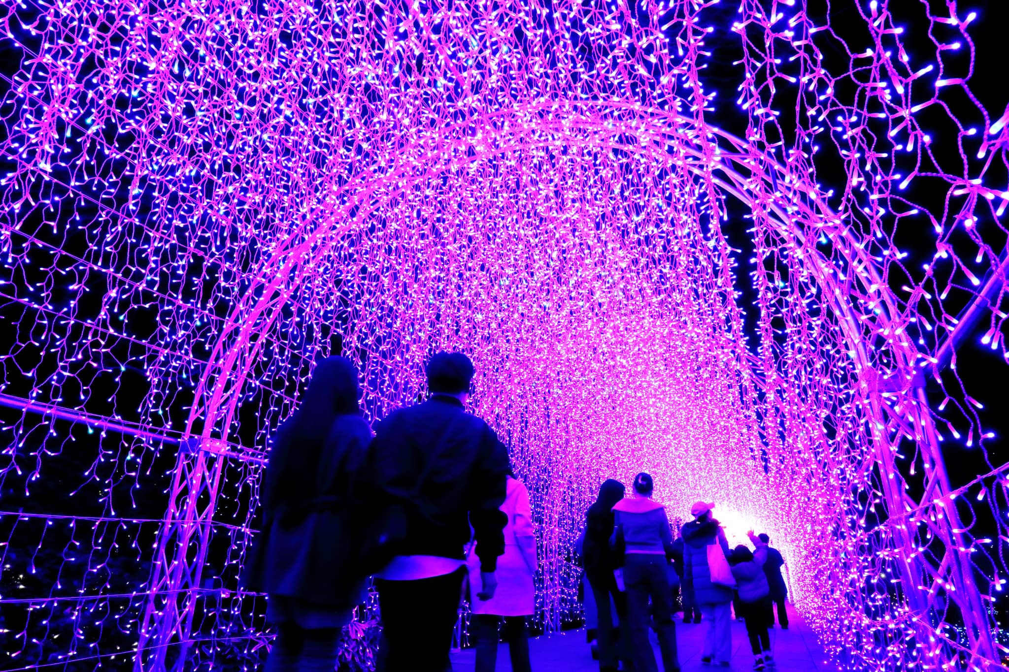 湘南の宝石2025-2026 ~江の島を彩る光と色の祭典~