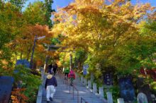 【関東甲信越】11月が見頃の紅葉狩りスポット32選！名所で絶景を堪能＜2025＞