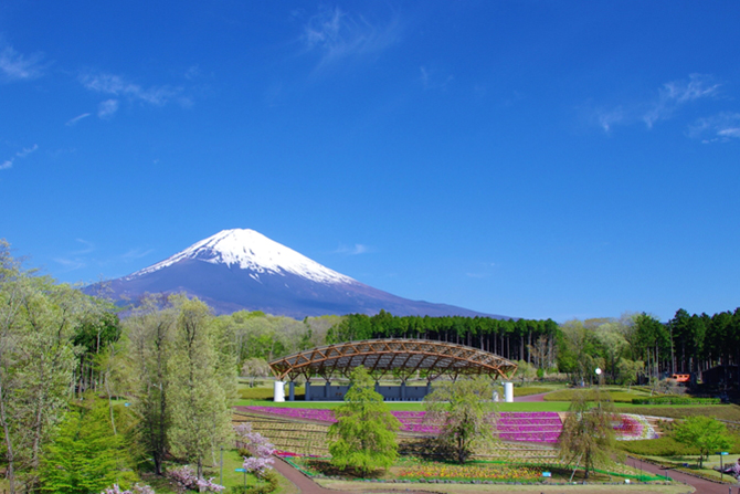 富士山樹空の森