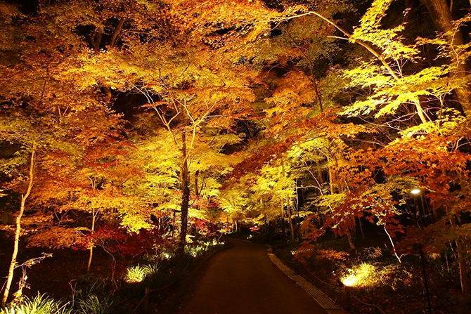 秩父宮記念公園