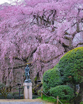 秩父宮記念公園
