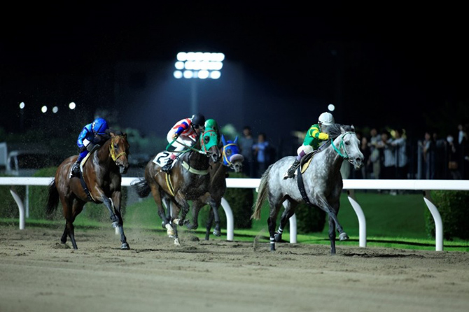 川崎競馬場