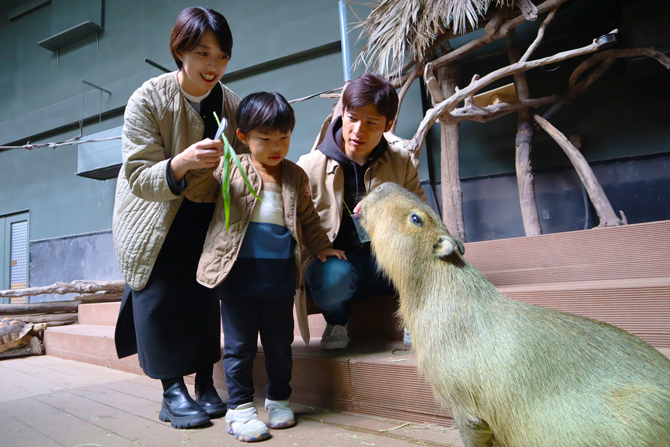 カワスイ 川崎水族館