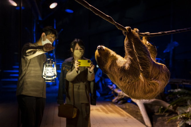 カワスイ 川崎水族館