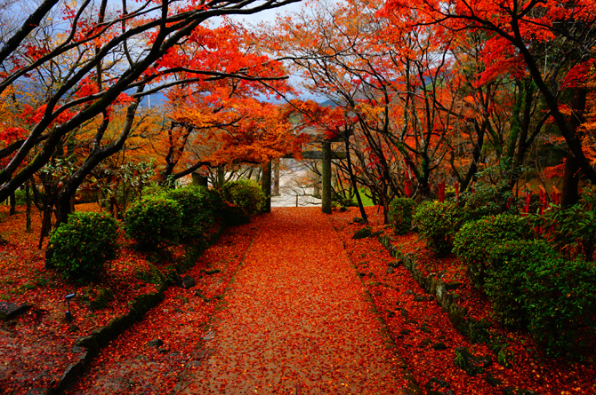 宝満宮 竈門神社