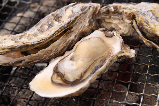 糸島のカキ小屋