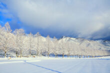 【関西】冬の日帰りドライブスポット24選！季節の絶景巡りや初詣におすすめ