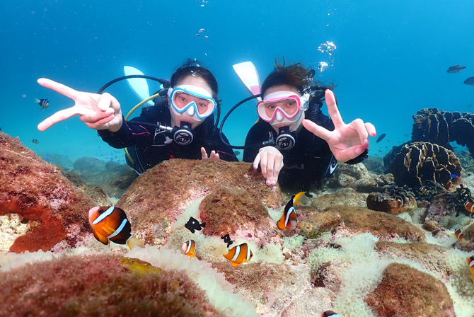 柏島ダイビングサービス Smiley Dive