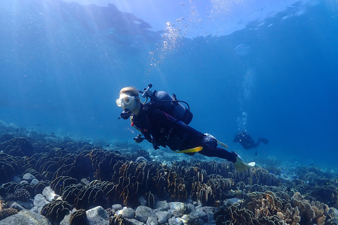柏島ダイビングサービス フィンハウス