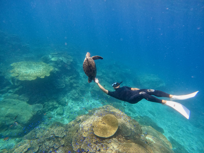 NPO法人黒潮実感センター