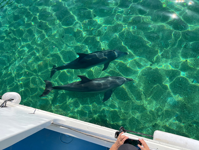NPO法人黒潮実感センター