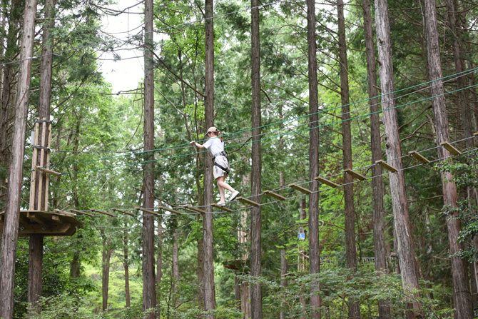 ボウケンノモリ のせ