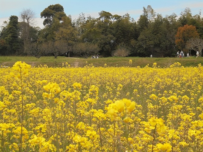 特別史跡「水城跡」
