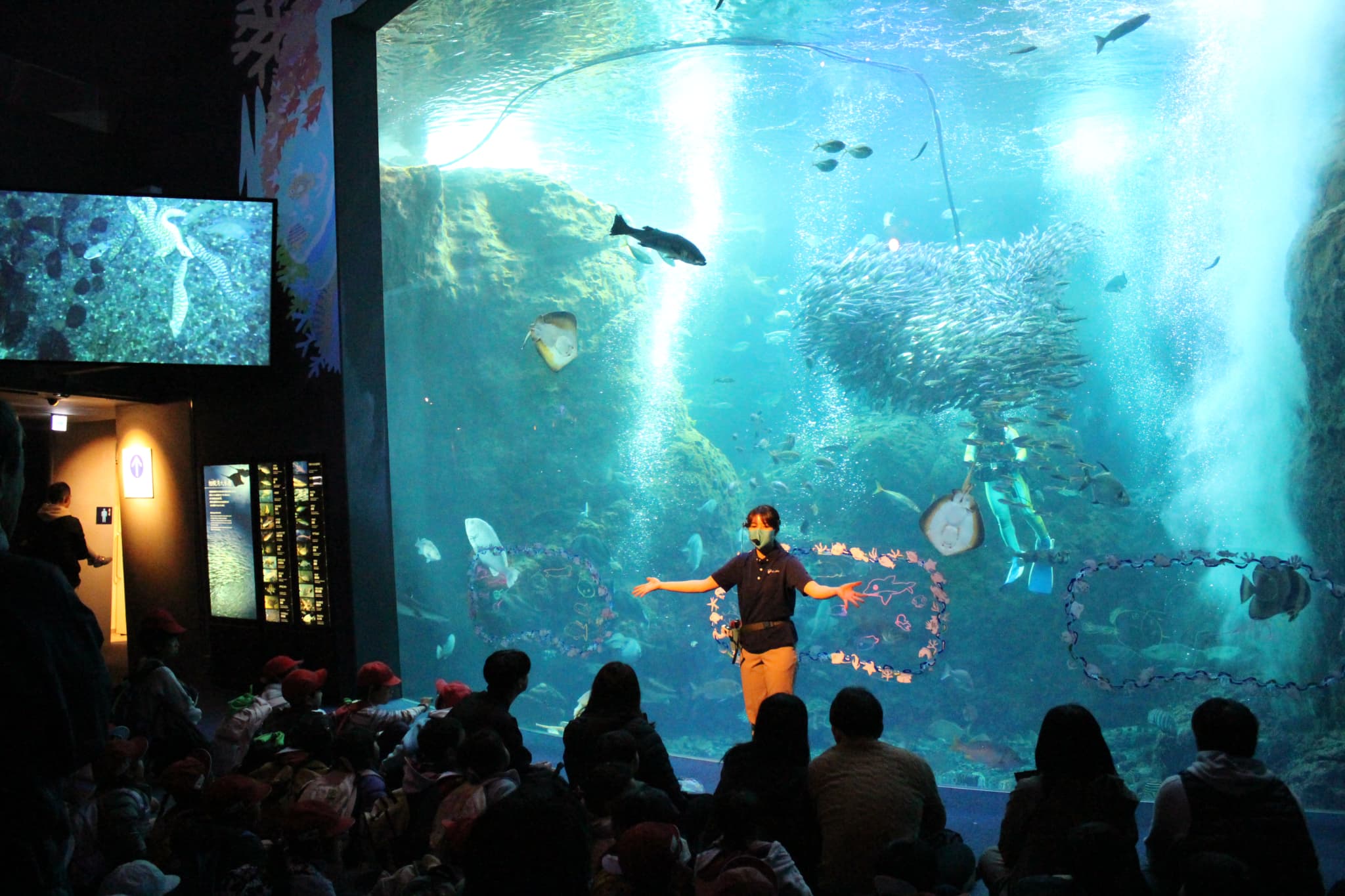 新江ノ島水族館