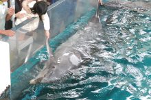 【神奈川】子どもの遊び場・おでかけスポット11選！子連れに役立つ施設情報も紹介＜2…