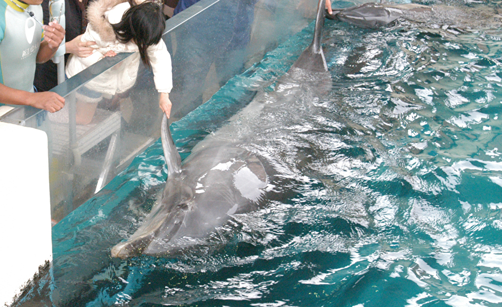 新江ノ島水族館
