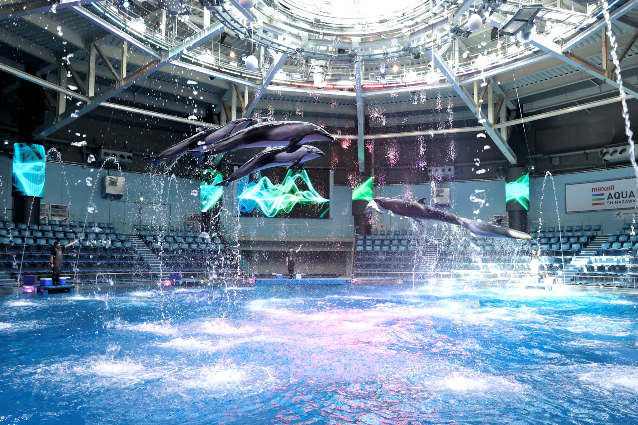 （画像提供：マクセル アクアパーク品川）