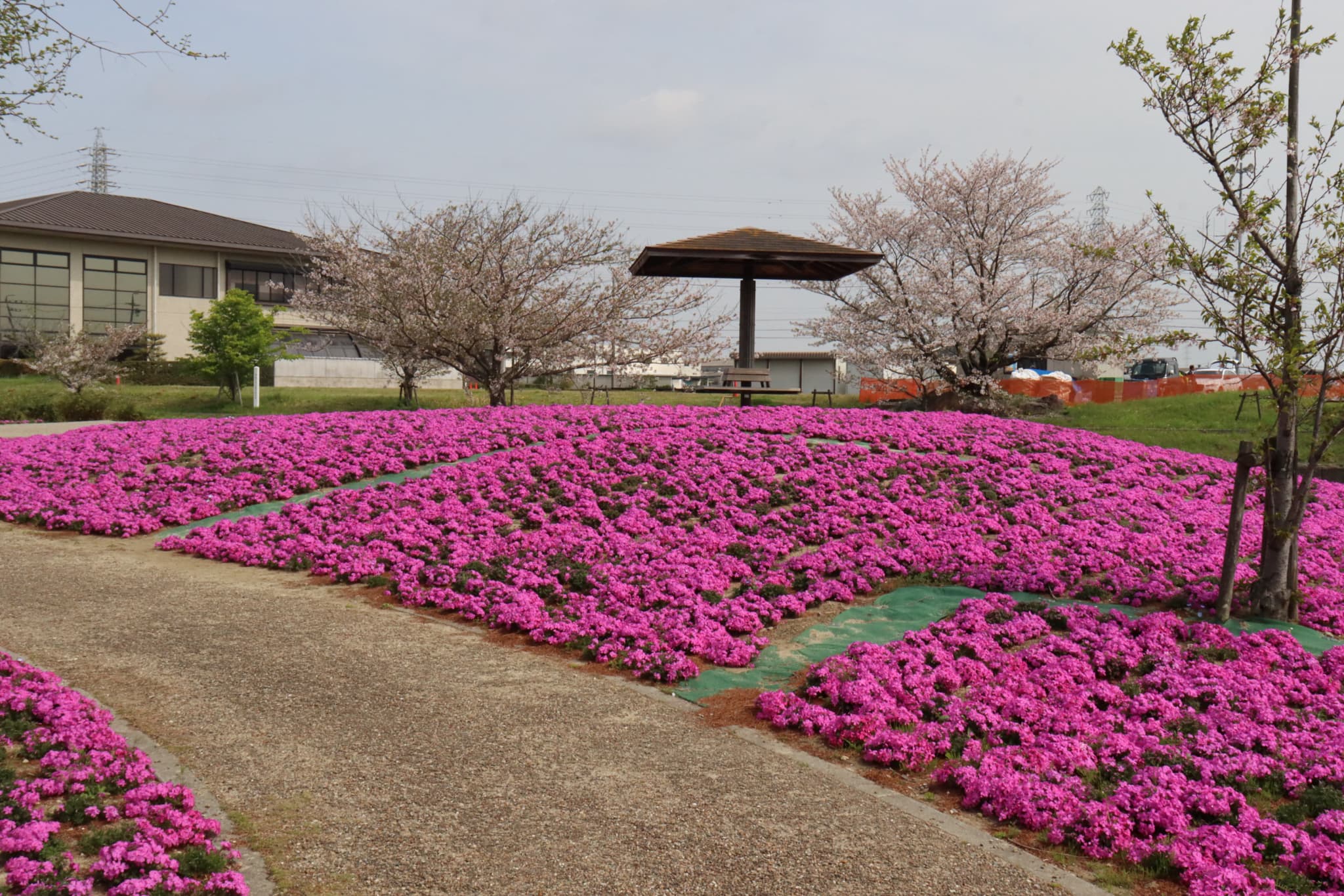 （画像提供：弥富市）