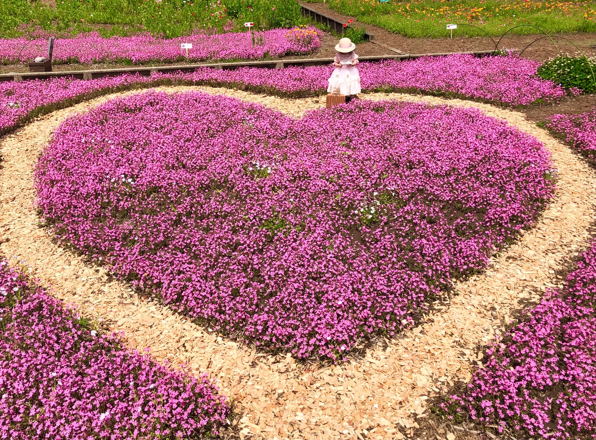 洲原ひまわりの里