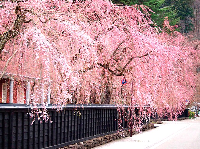 角館武家屋敷通り