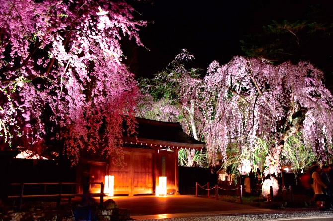 角館武家屋敷通り