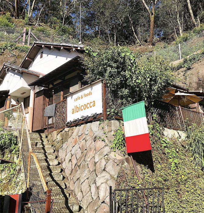 cafe＆foods albicocca