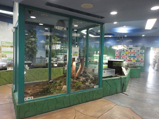 丸瀬布昆虫生態館