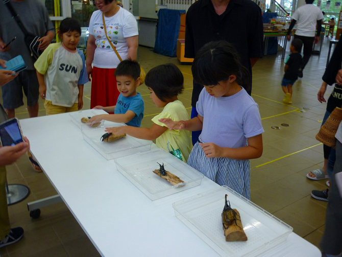 ふくしま森の科学体験センター（ムシテックワールド）