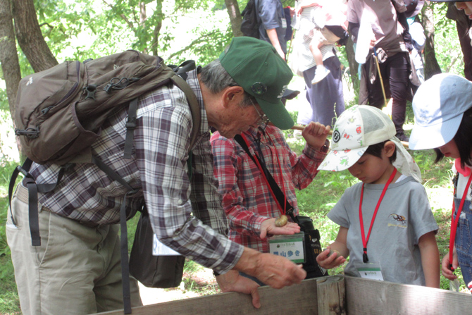 群馬県立ぐんま昆虫の森