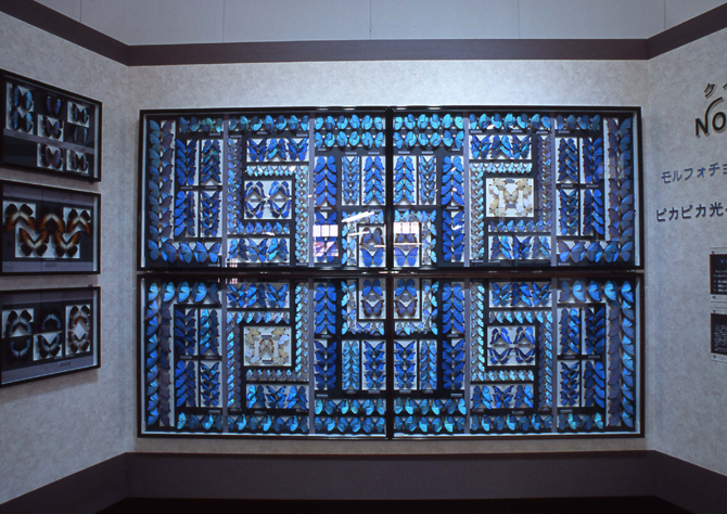 名和昆虫博物館