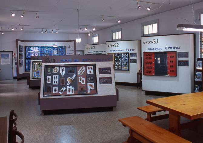 名和昆虫博物館