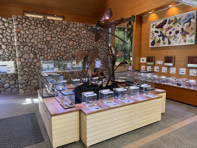 磐田市竜洋昆虫自然観察公園
