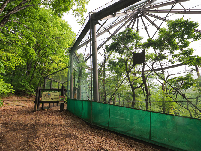 平尾山公園昆虫体験学習館