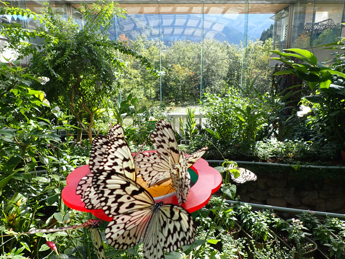 石川県ふれあい昆虫館