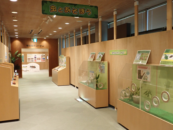 石川県ふれあい昆虫館