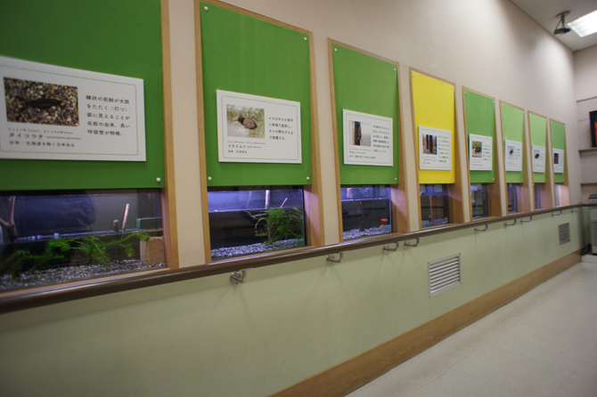 箕面公園昆虫館