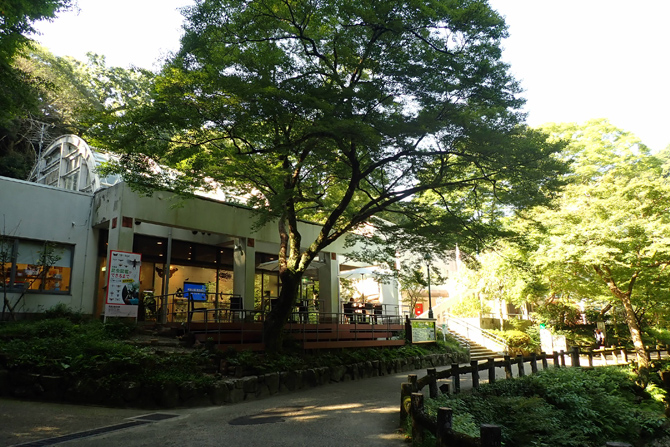 箕面公園昆虫館