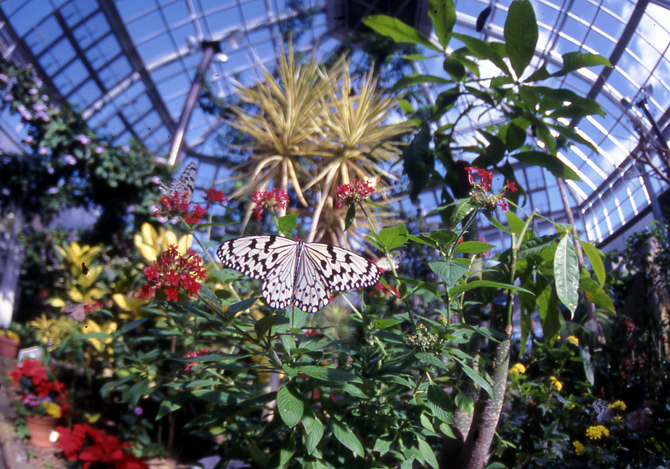 広島市森林公園こんちゅう館