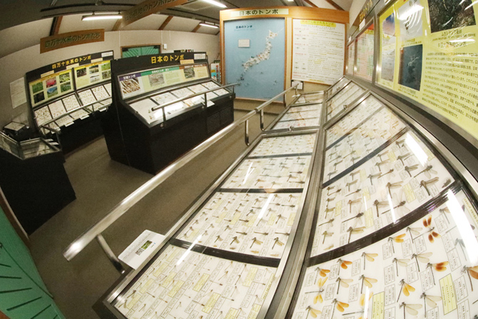 四万十川学遊館あきついお