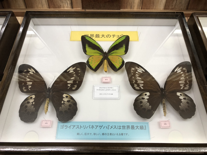 長崎バイオパーク